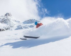 Everything You've Wanted to Know About Paris