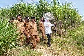 Gubernur Khofifah Tinjau Lahan Strategis untuk Sekolah Rakyat di Malang Selatan