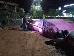 Bawa 403 Batang Bengkirai Ilegal, Sopir Ekspedisi Ditangkap Polisi