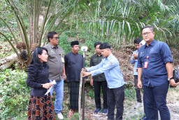 Kementerian ATR/BPN: Tanah Ulayat Tetap Milik Adat