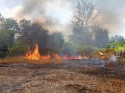 Puncak Kemarau Picu Kebakaran Hutan dan Lahan di Papua