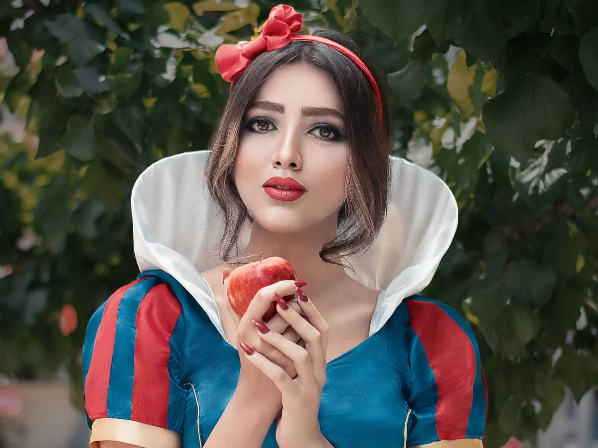 Anggota Lain
