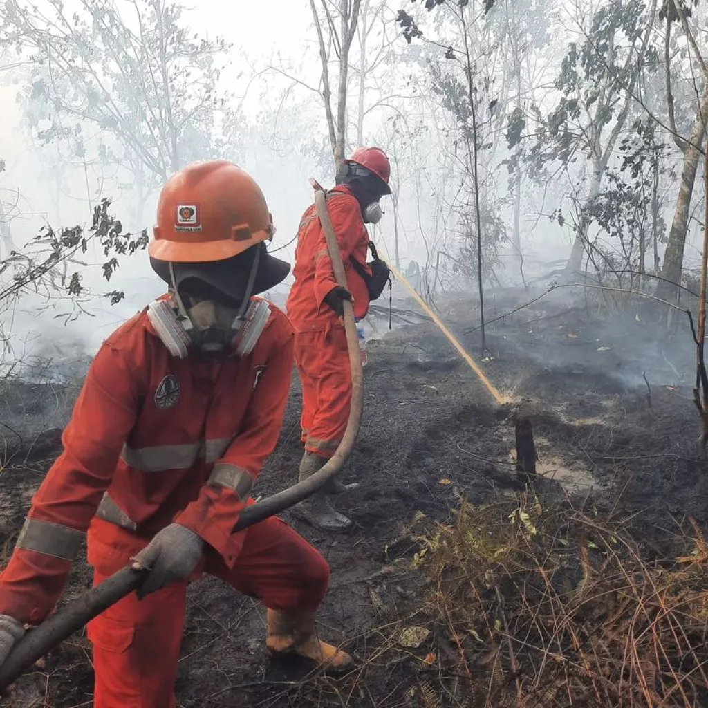 Petugas melakukan pemadaman di area terdampak karhutla. (kemenhut)