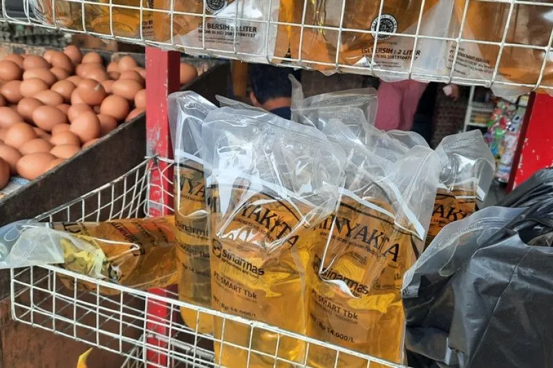 Minyakita dalam kemasan pouch (ANTARA)