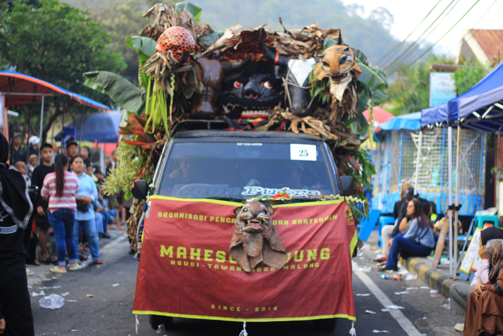 Prosesi ngarak Banteng 1 Suro menggunakan pick-up.