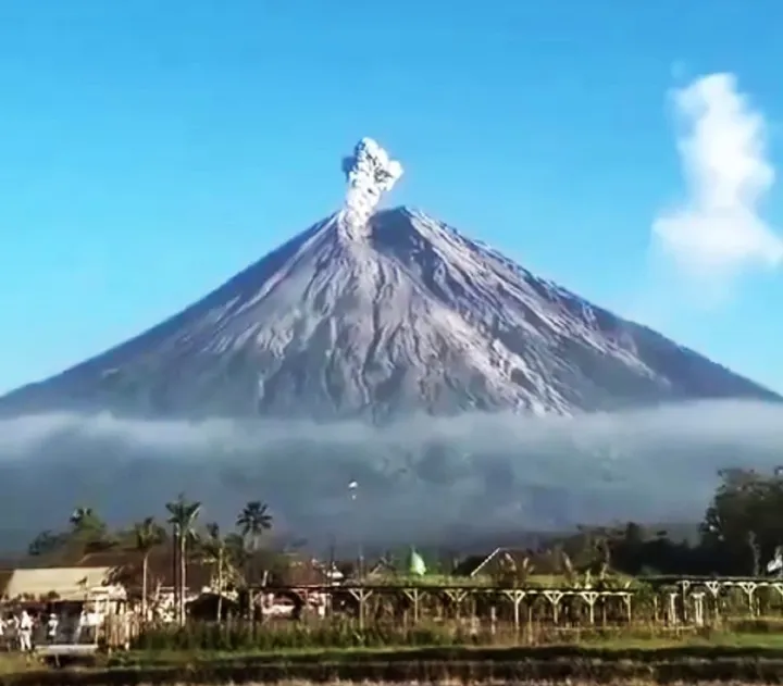 Gunung Semeru saat erupsi. (X @semerukini)