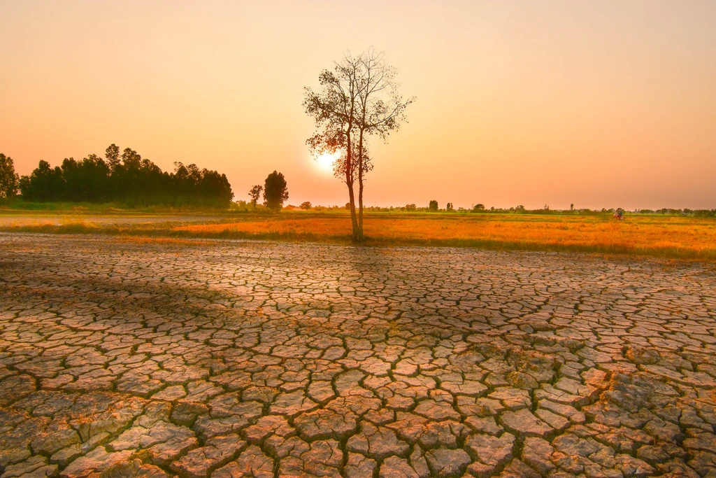 El Nino menyebabkan kemarau panjang dan curah hujan rendah. (Shutterstock)