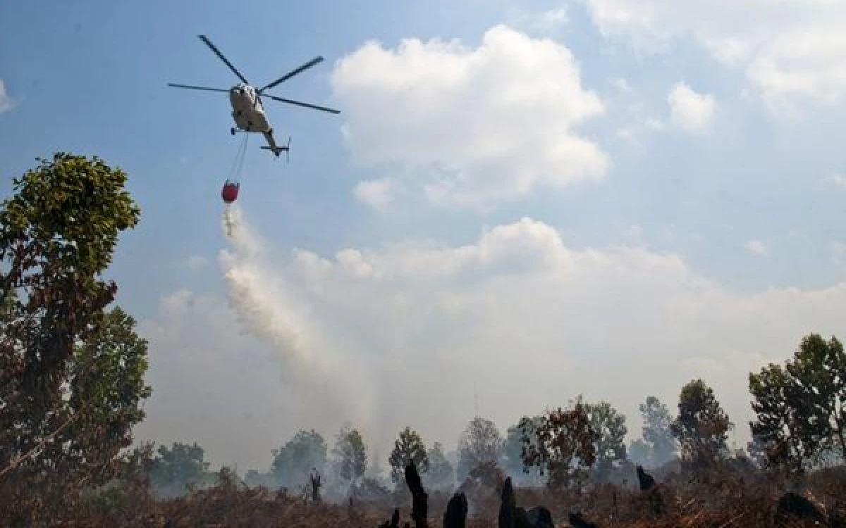 Upaya Pemadaman Karhutla Berlanjut, Sanksi bagi Pelaku Pembakaran Diperberat