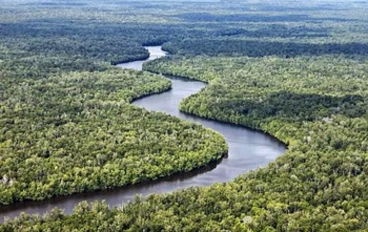 Taman Nasional Berbak Sembilang. (ist)